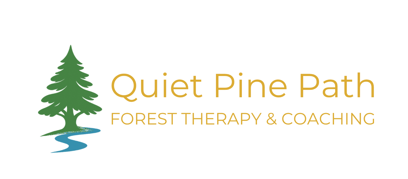 Quiet Pine Path Forest Therapy &amp; Coaching