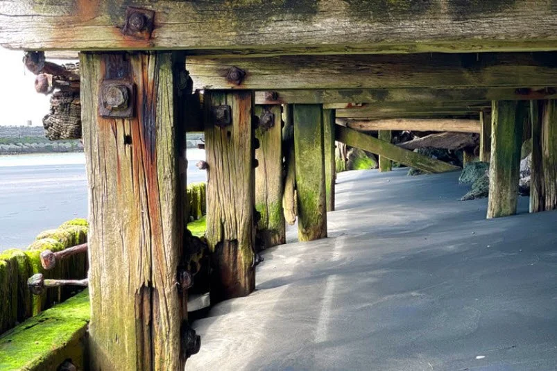 How Clarinspect Transformed Bridge Inspections for Ace Consulting