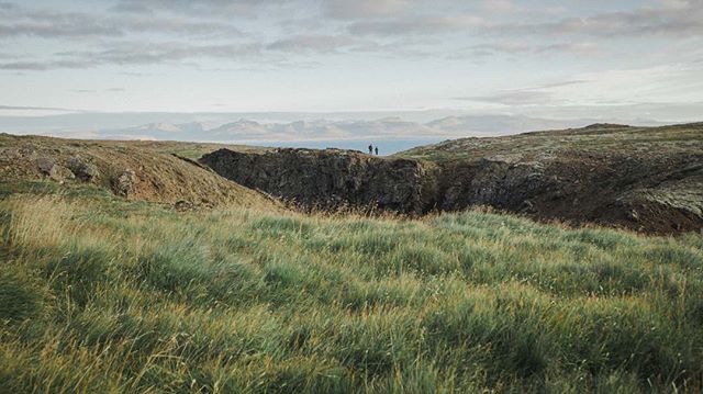 Creeping on these cool kids in Iceland... two years later.