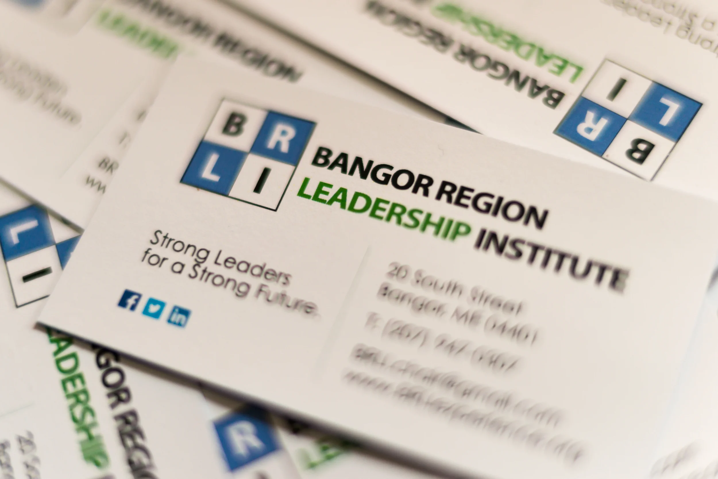 BRLI business card-00695.jpg
