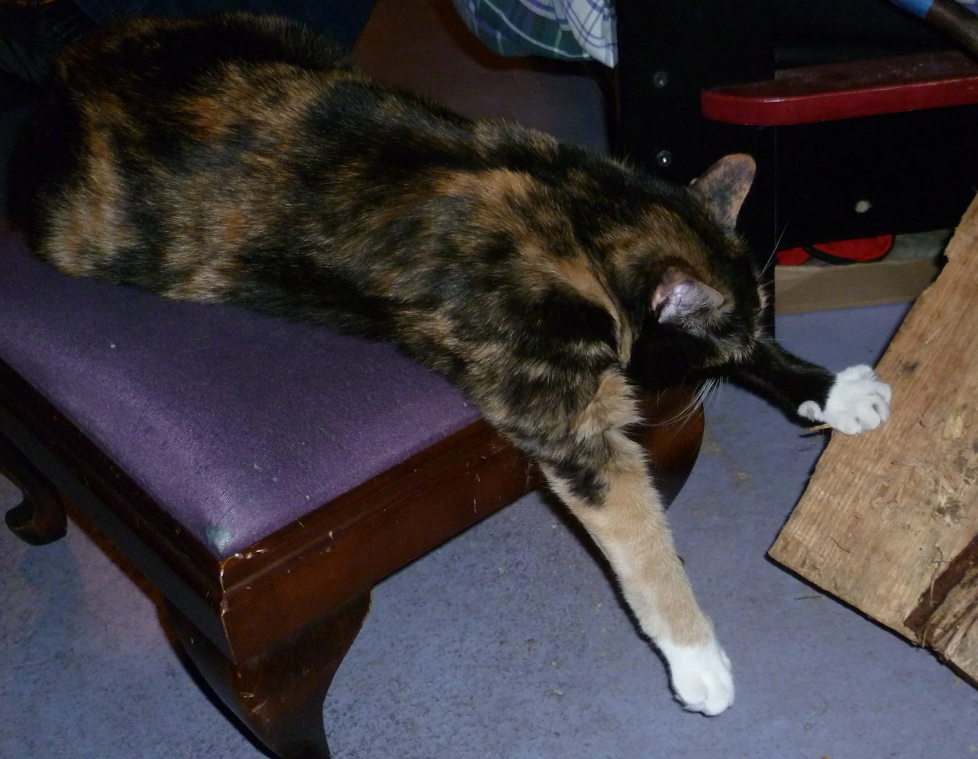 P1060434.JPG