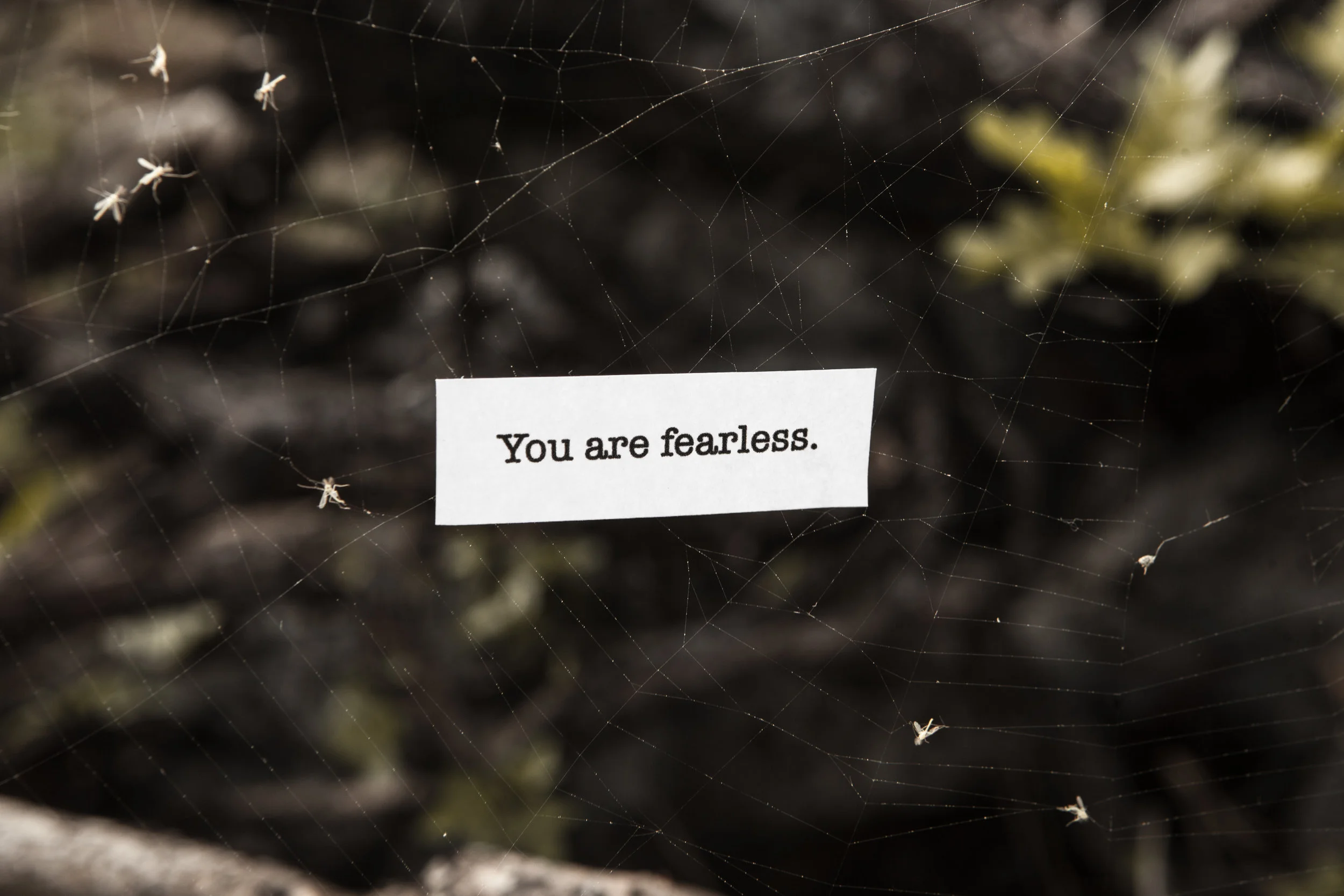 Quotes in Nature-10.jpg