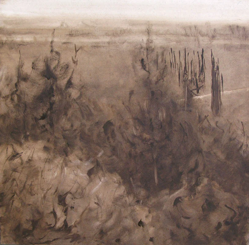valley view in sepia, shelf road series