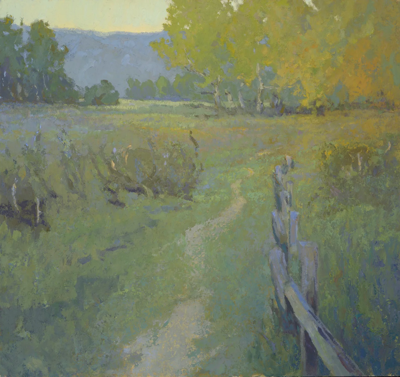the clearing