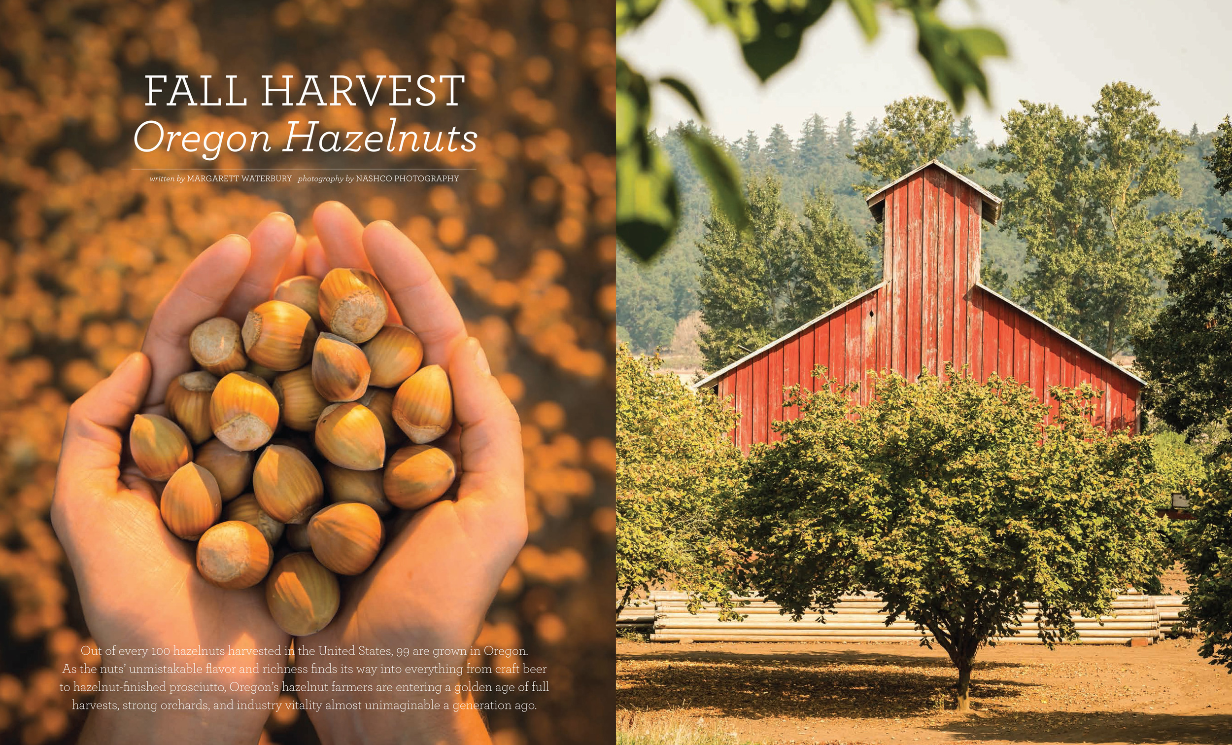 Hazelnut Feature-2.jpg