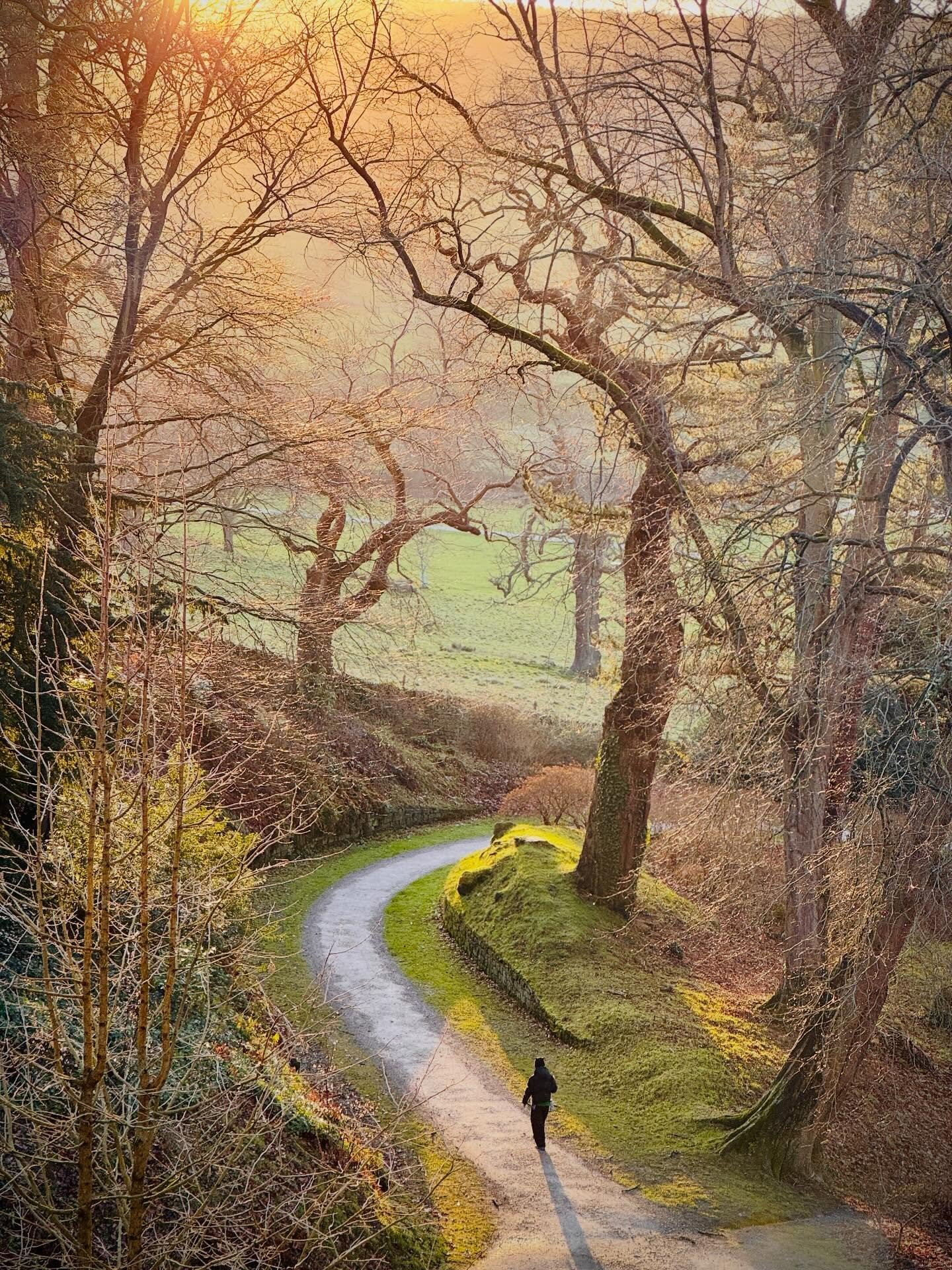 Vertical England.  Take 1. #englandsbigpicture #nottingham #martinparr #asmp