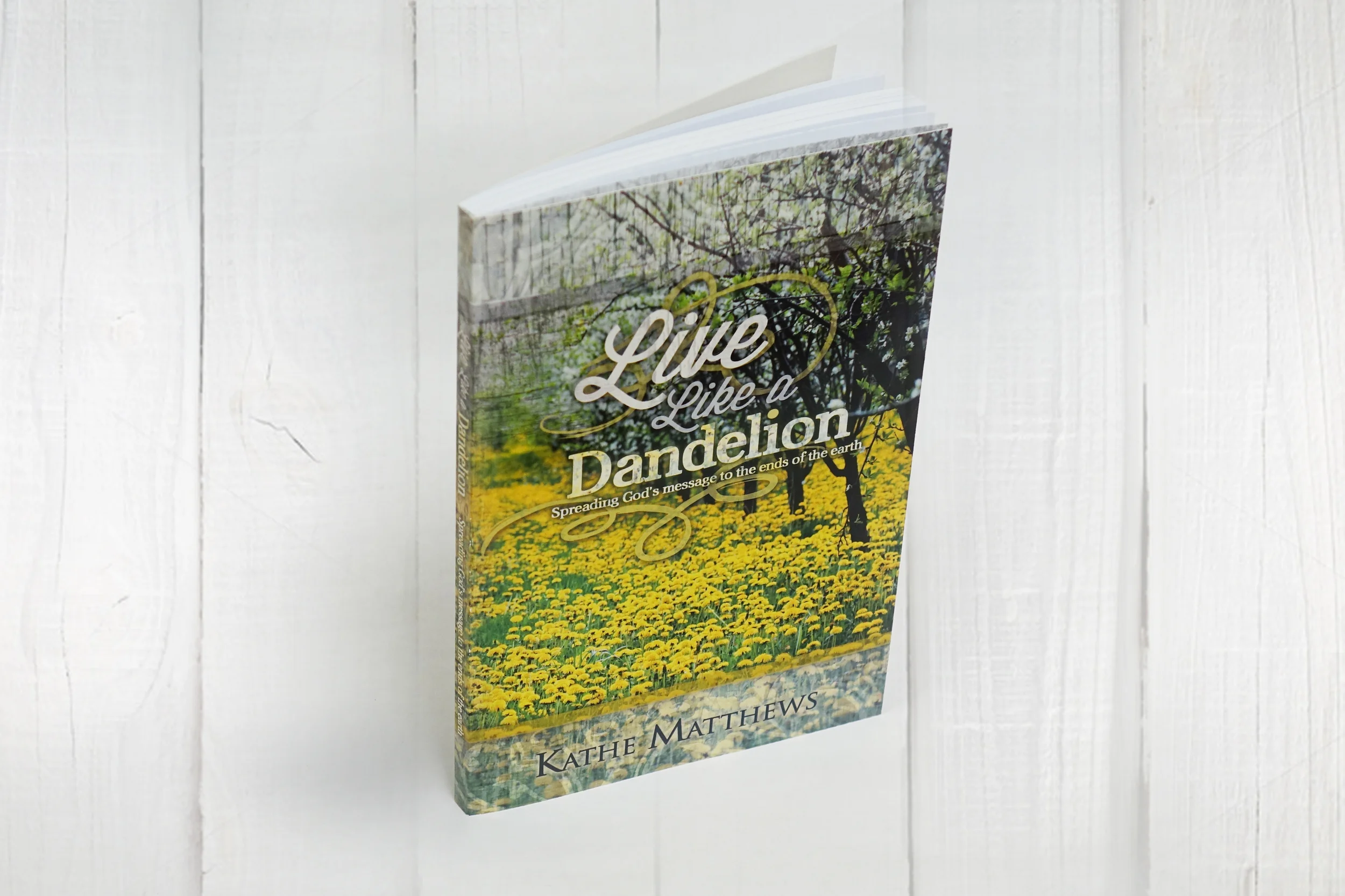 KatheMatthews_BookDesign_GraphicDesign.jpg