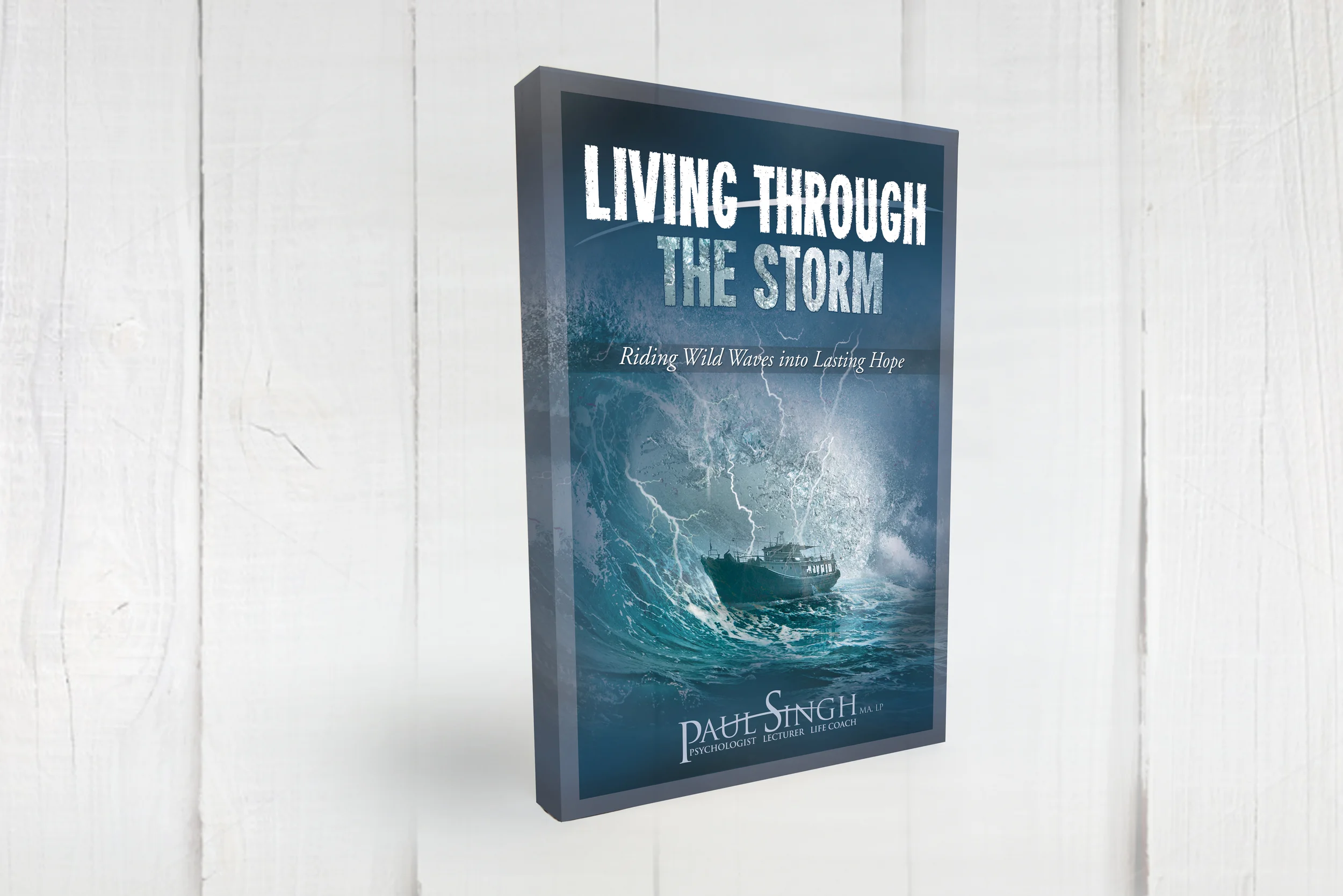 PaulSinghLTS_BookDesign_GraphicDesign.jpg