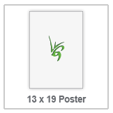 13 x 19 Poster Icon.png