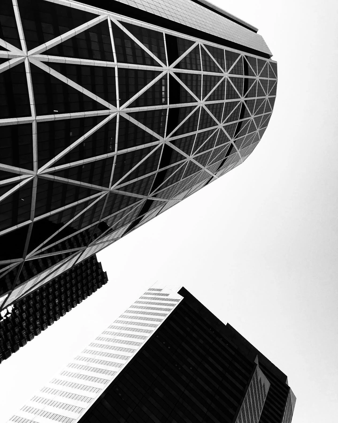 | CALGARY |