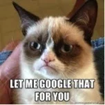 Grumpy Cat speaks word of wisdom.