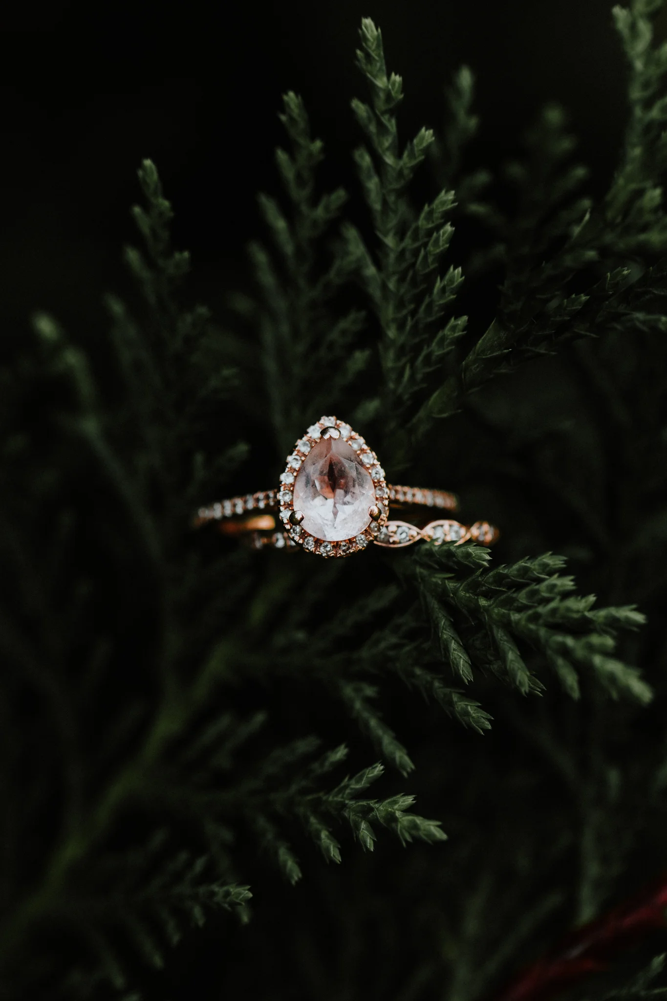 Georgia-Couples-Winter-Engagement-Wedding-24.jpg