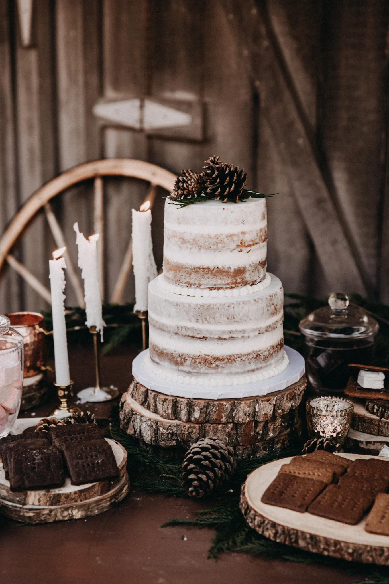 MonicaLeavellPhoto-North-Georgia-Intimate-Winter-Wedding-Photographer-1.jpg