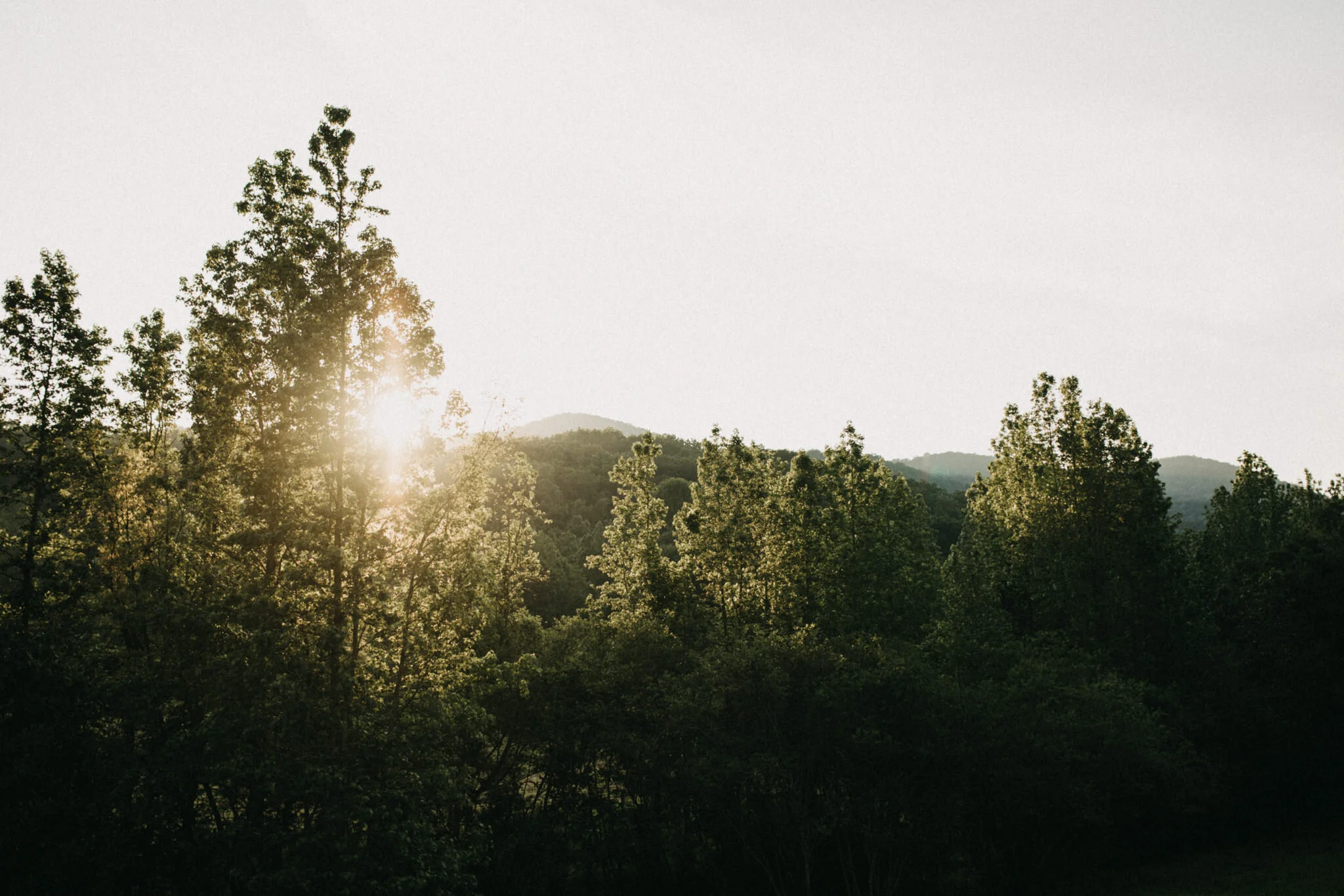 KateMatt-North-Georgia-Wedding-Photographer-Mountain-Laurel-Farm-133.jpg