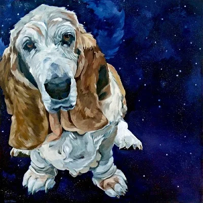 Basset Hound Nebula