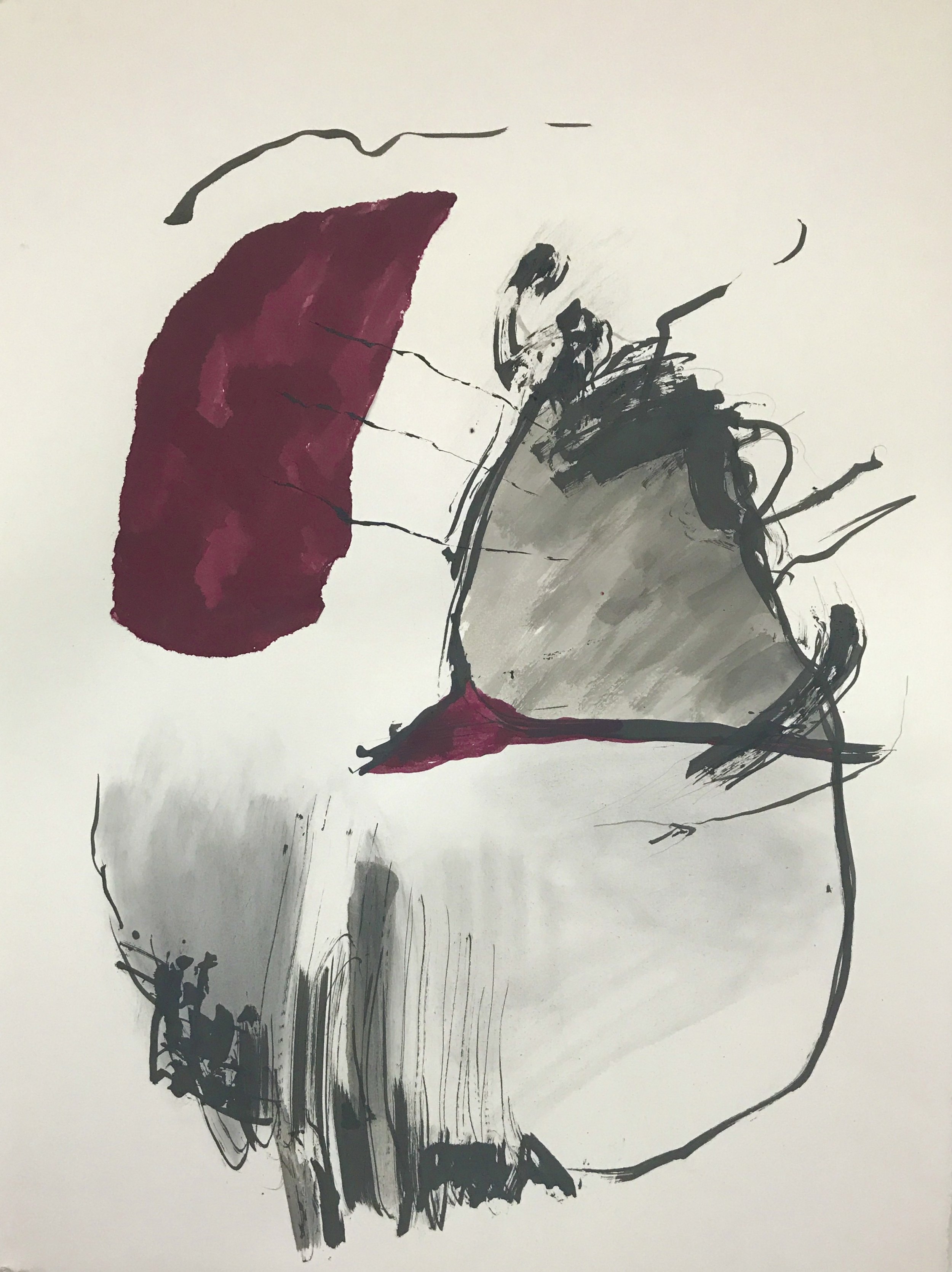 cochineal drawing 1.jpeg