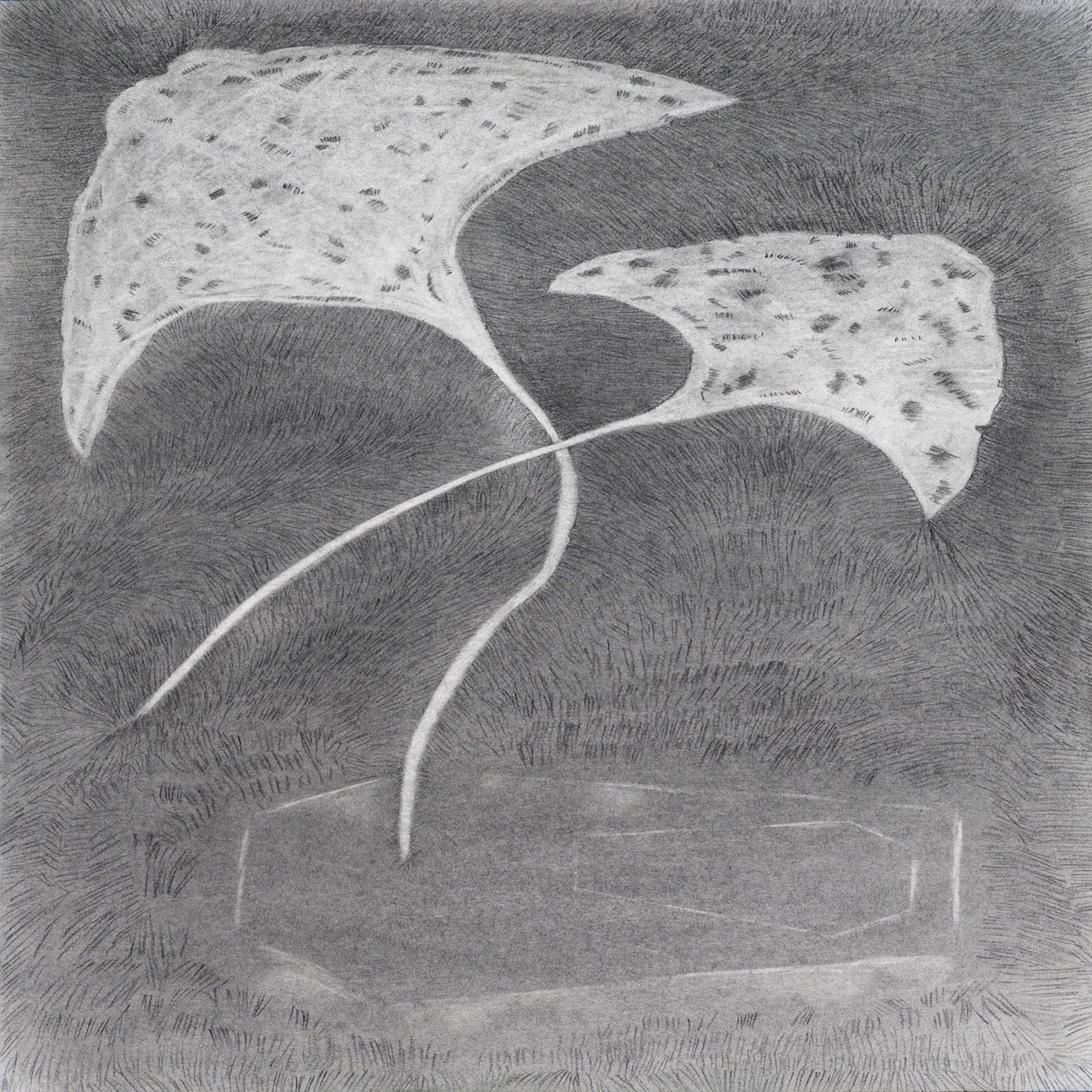CusackN-Sea Rays 12x18 P100 MBW V2 (Darker).jpg