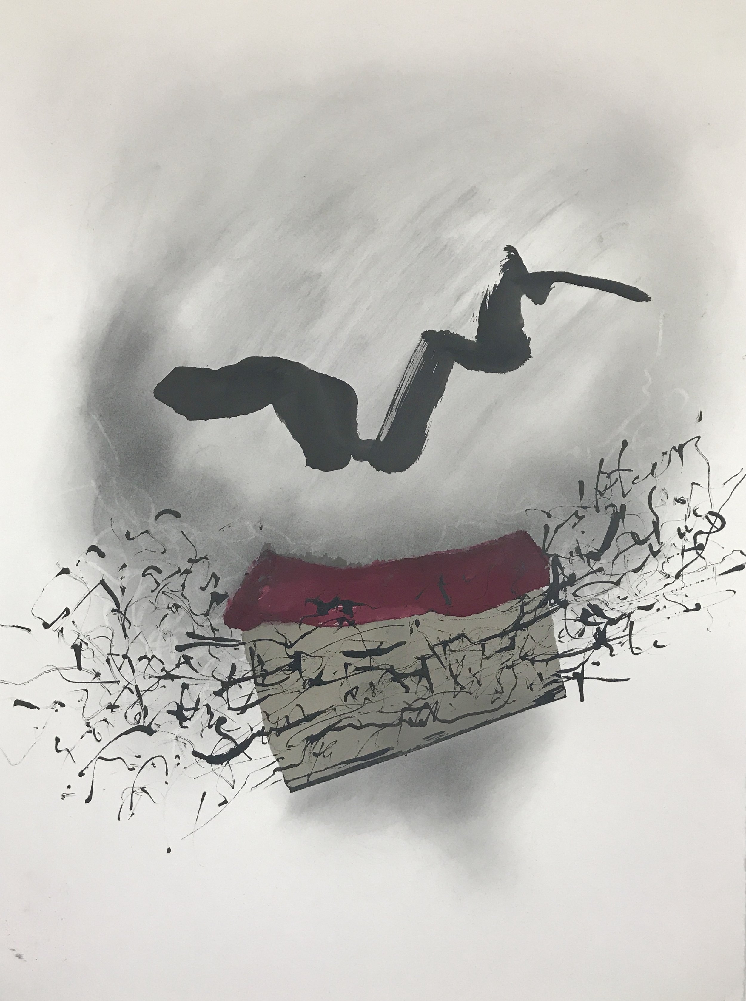 cochineal drawing 3.jpeg