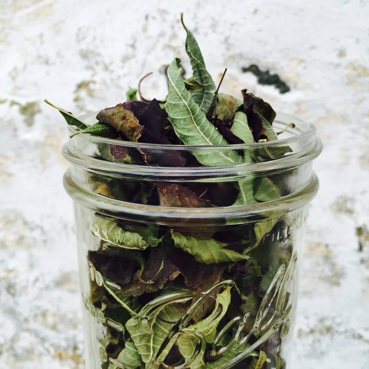 Herb Shop — Furnace Creek Farm