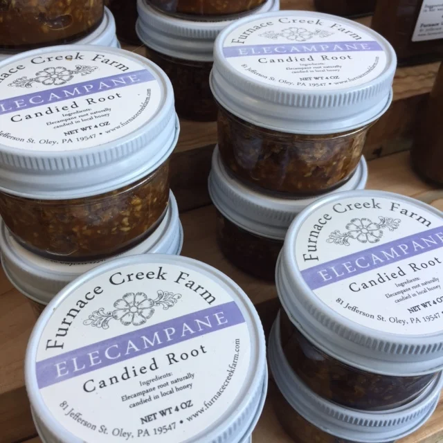 candied elecampane.JPG