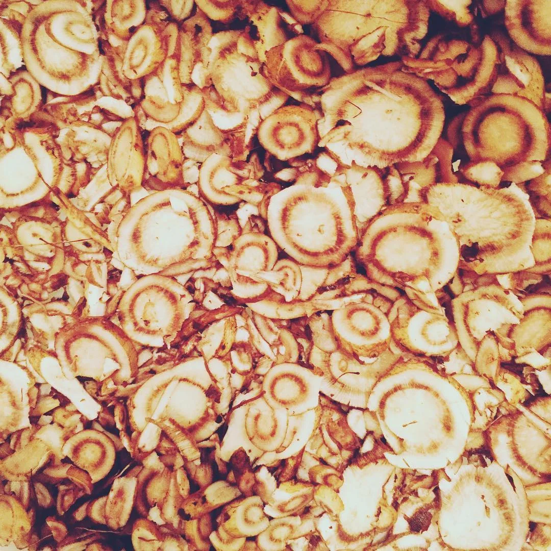 sliced elecampane.jpg