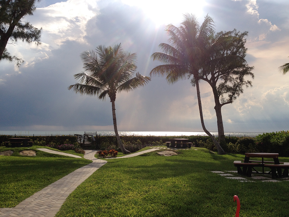 The view from our Forever Party in Naples. My wonderful in-laws managed to gather a flock of plastic flamingos to adorn the area with – there's one enjoying the sunset!