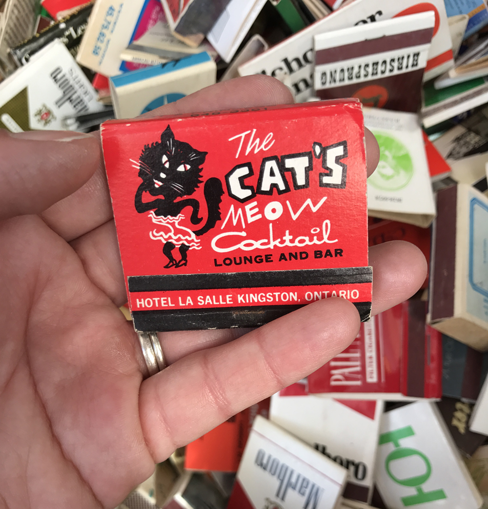 meow!
