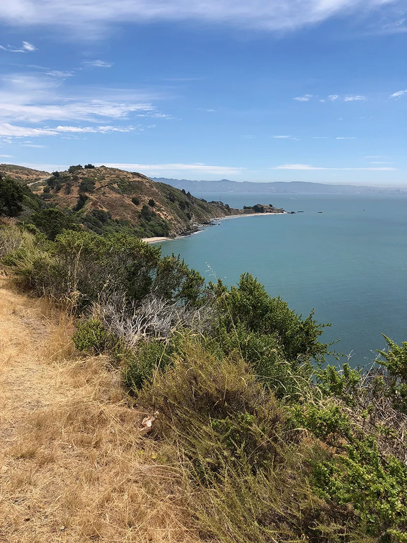 angel_island.jpg