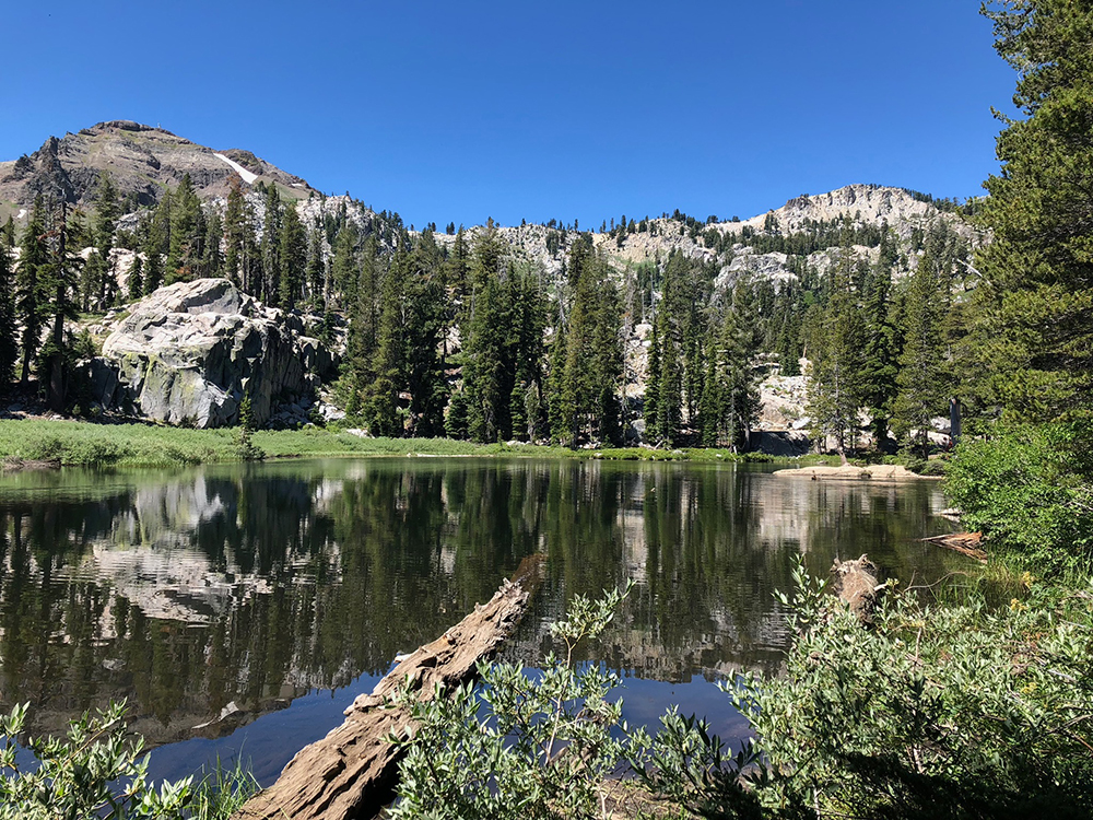 The Shirley lake trail was kind of tough but featured a breathtaking and rewarding view of Shirley Lake towards the end.