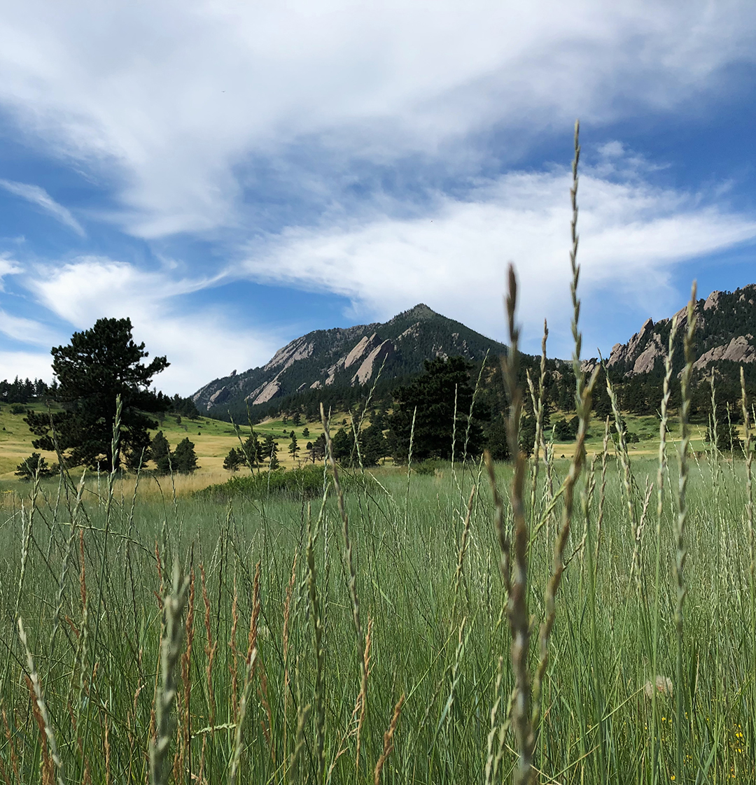landscape_4.jpg