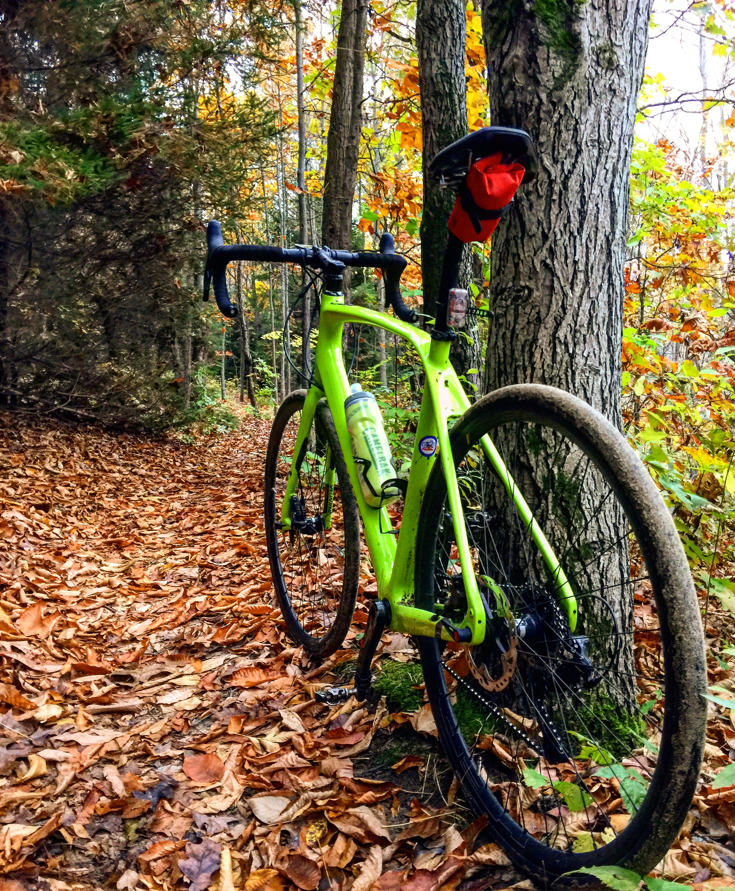 Specialized 16 Diverge Vs 17 Roubaix Why I Made The Switch Everyday Dadventures