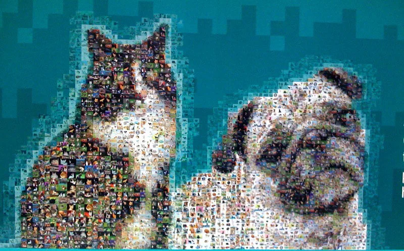 pfizer-largedisplay-3.jpg