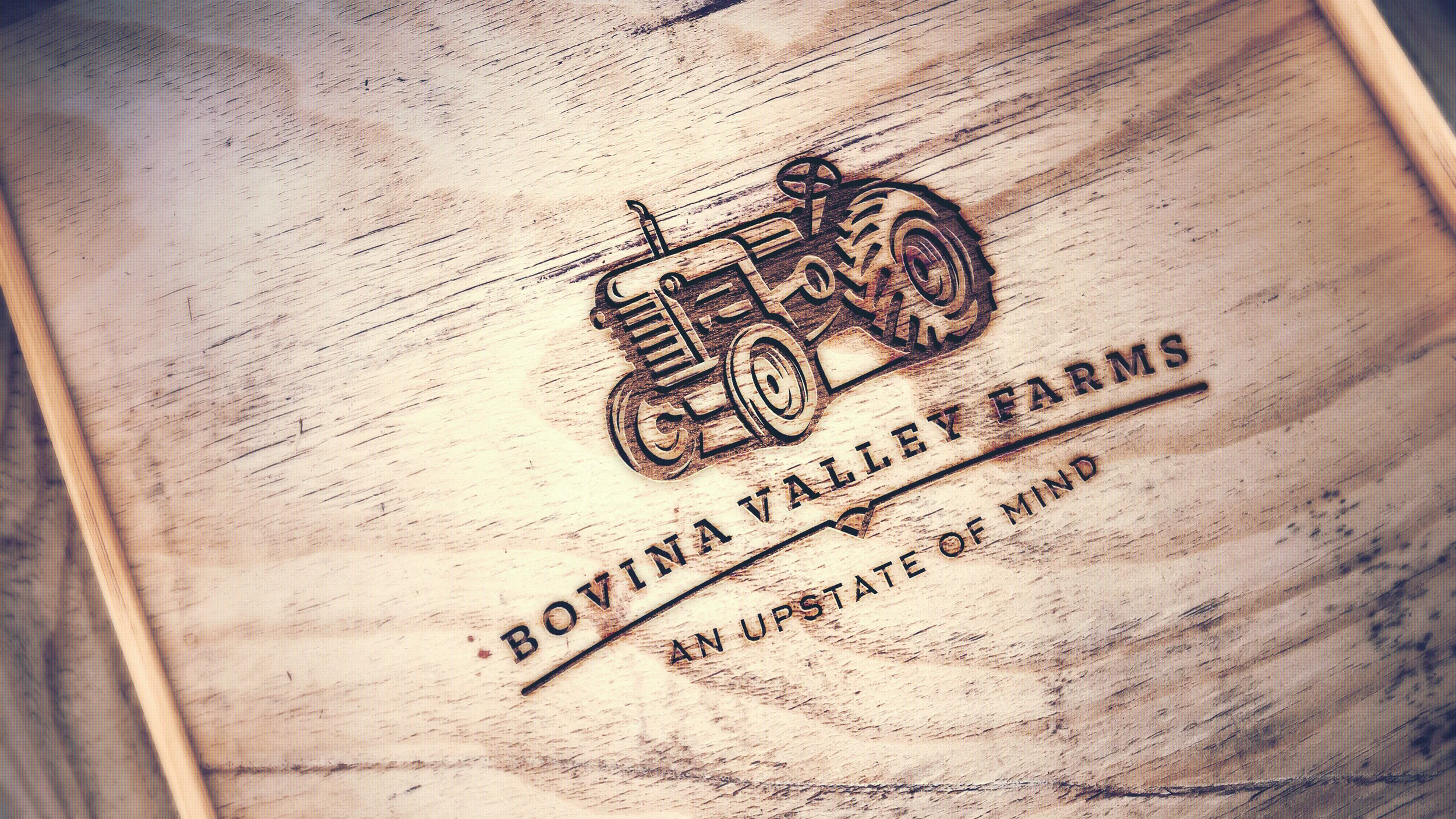 Bovina Valley Farms Brand Launch!