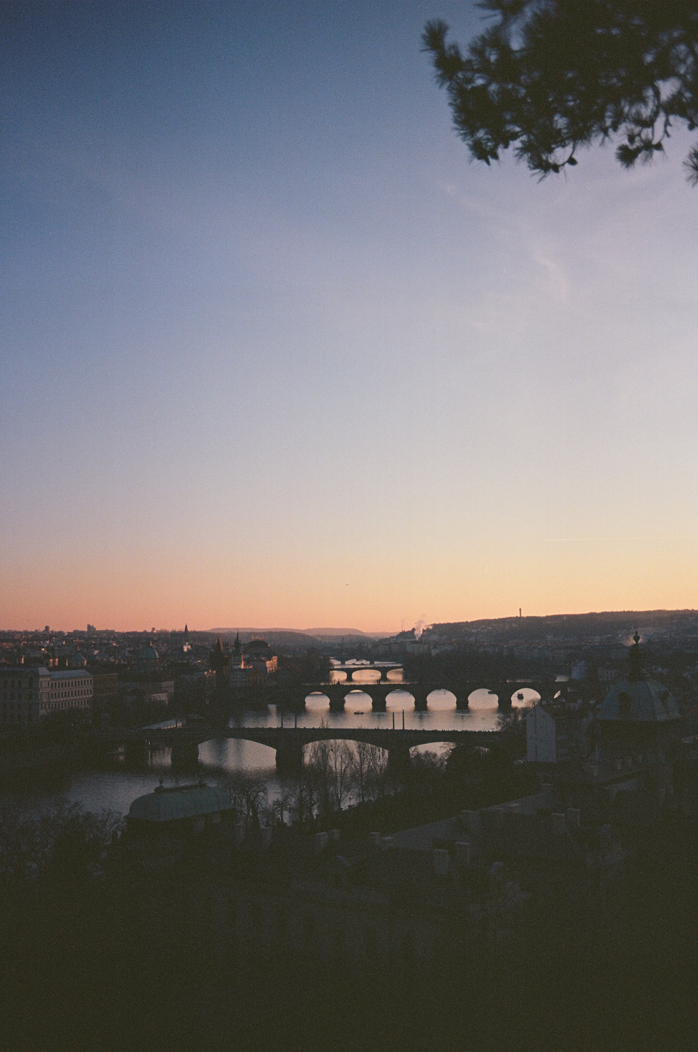 07740035.jpg