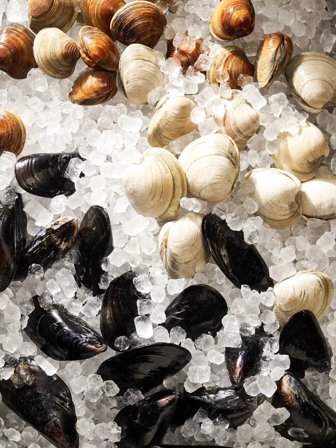  Photography: Stephen DeVries  Food Styling: Catherine Steele 