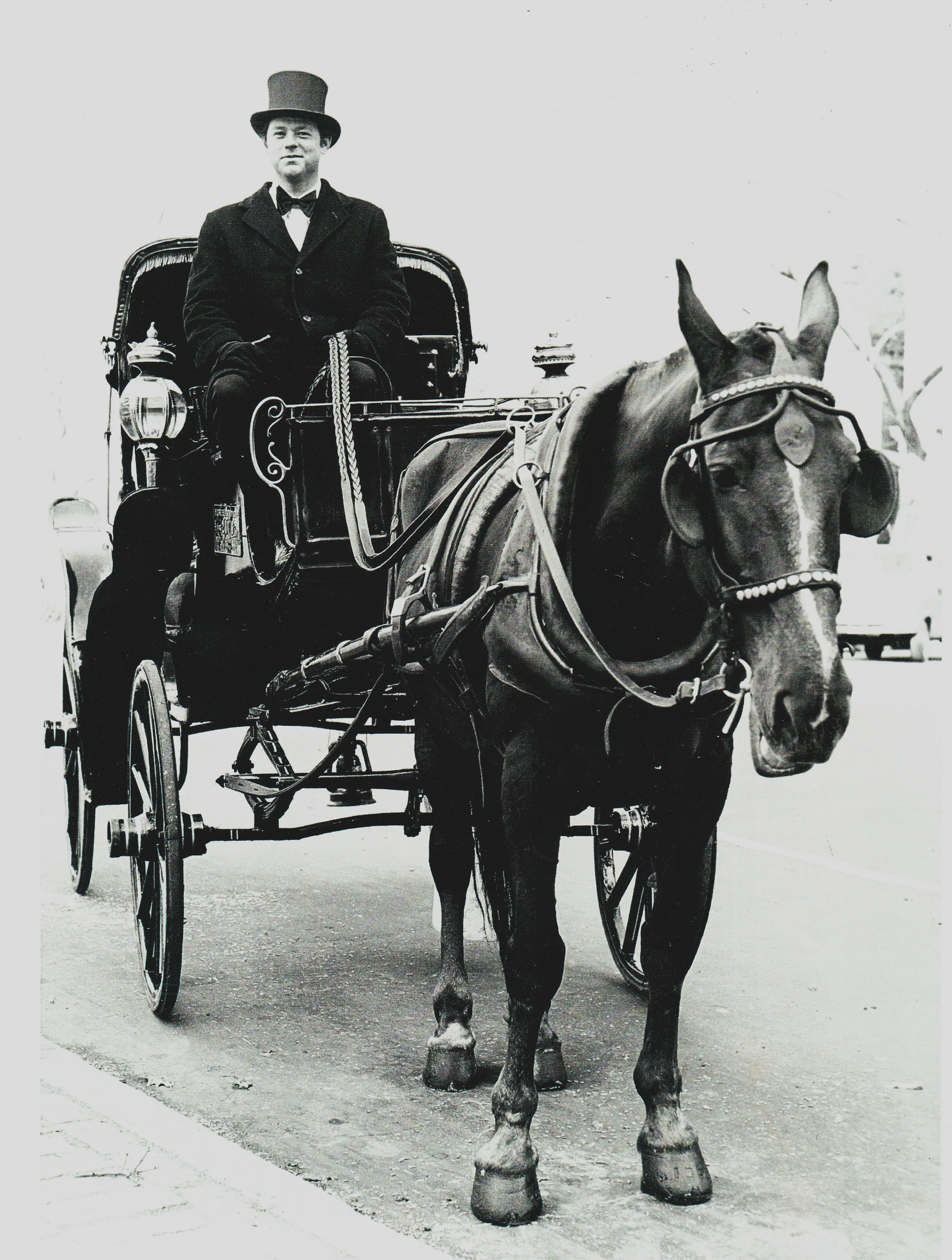 horse and cart central park cost
