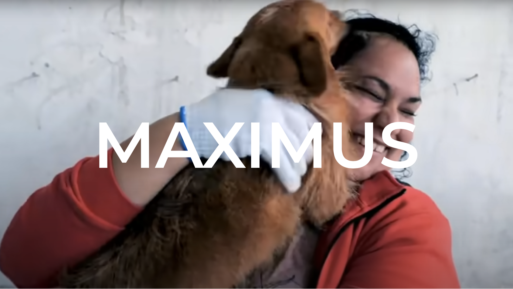 Screenshot 2024-10-03 at 3.54.20 PM.png