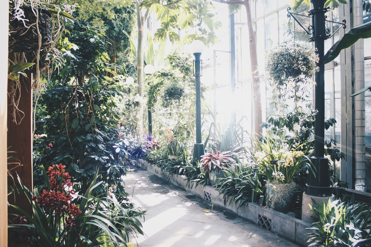 pictured: U.S. Botanical Garden