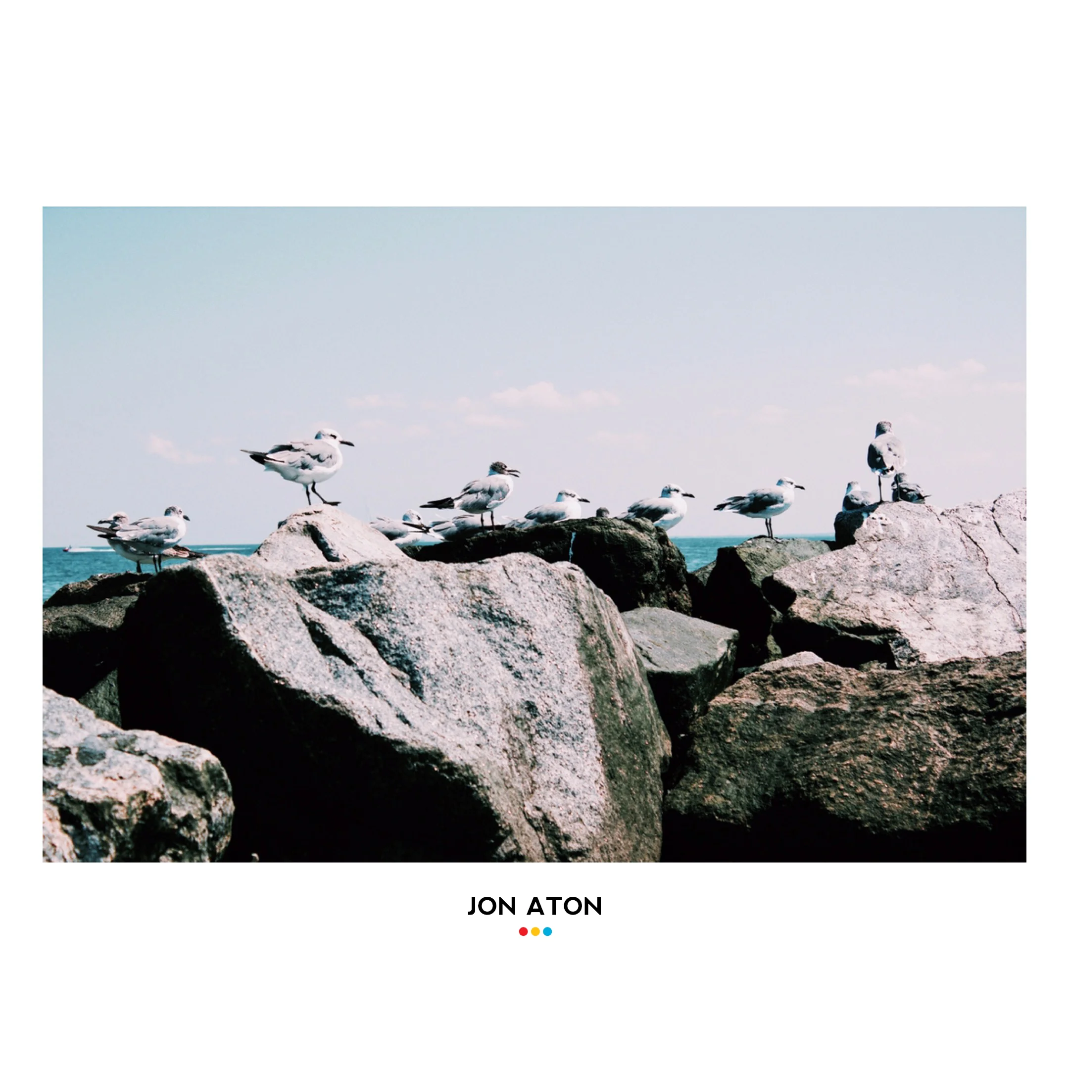 birds.JPG
