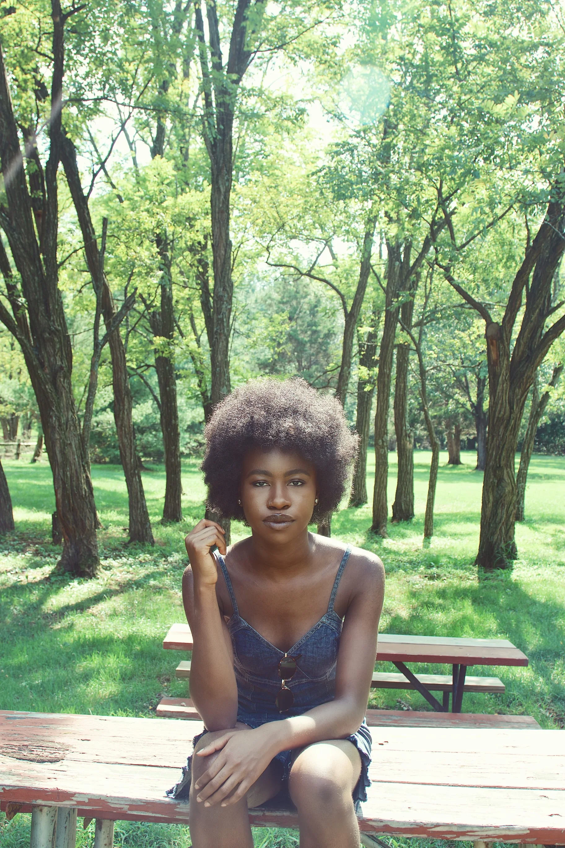 Chidera_BenchForest.jpg