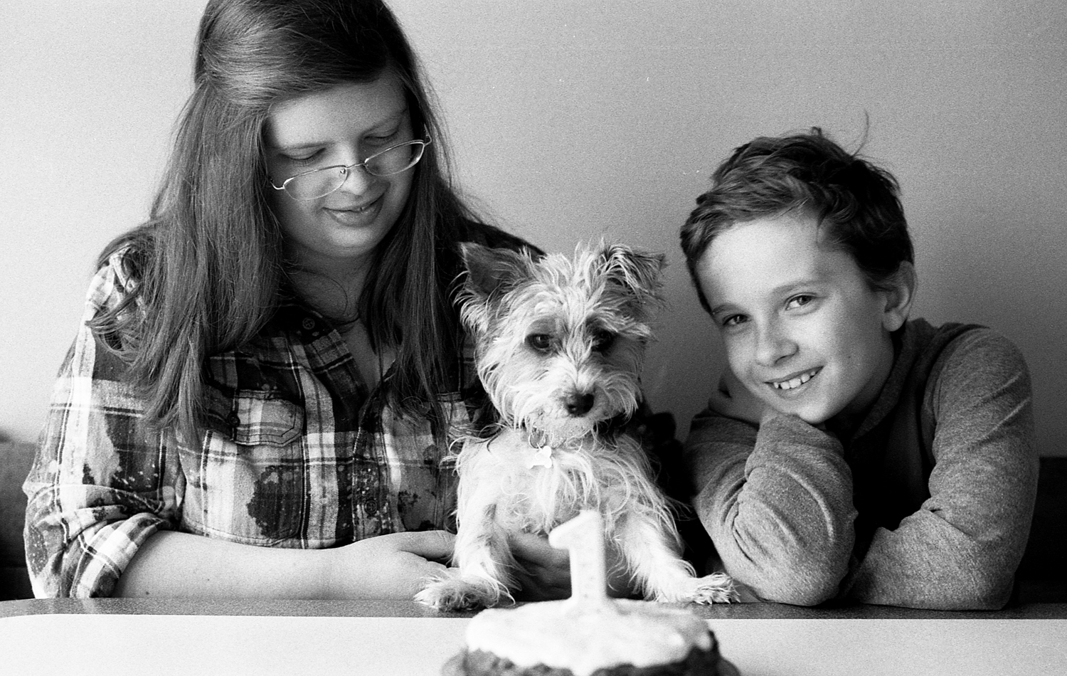 Celebrating a yorkie puppies 1st birthday.