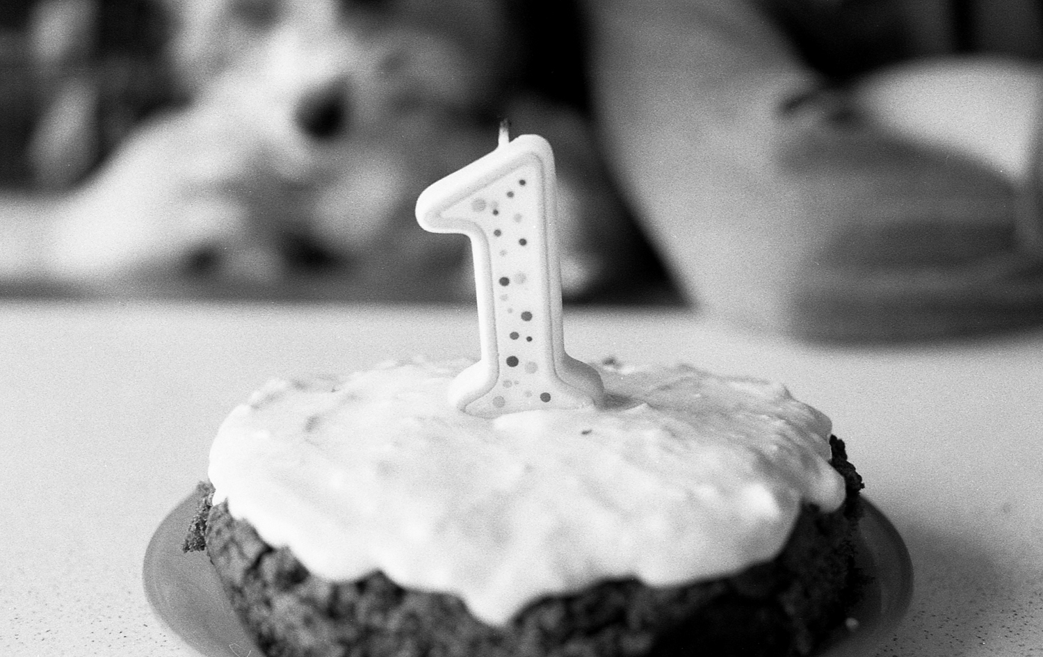Yorkie puppies first birthday cake.