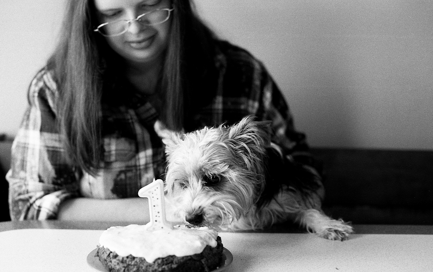 Teenage girl celebrating her yorkie puppies first birthday.