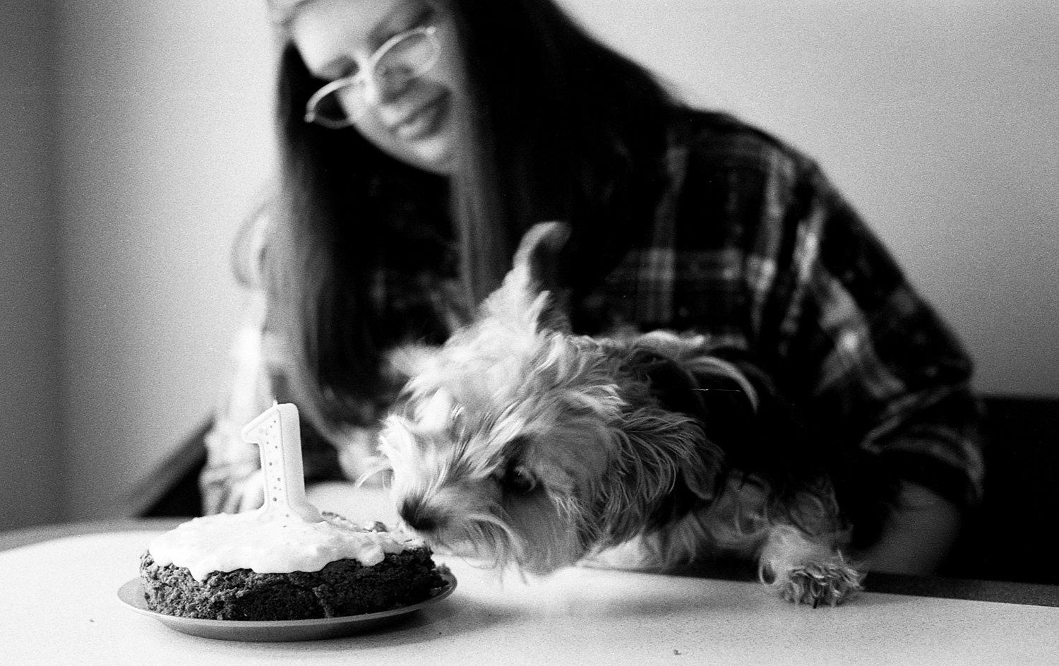 Teenage girl celebrating her yorkie puppies first birthday.