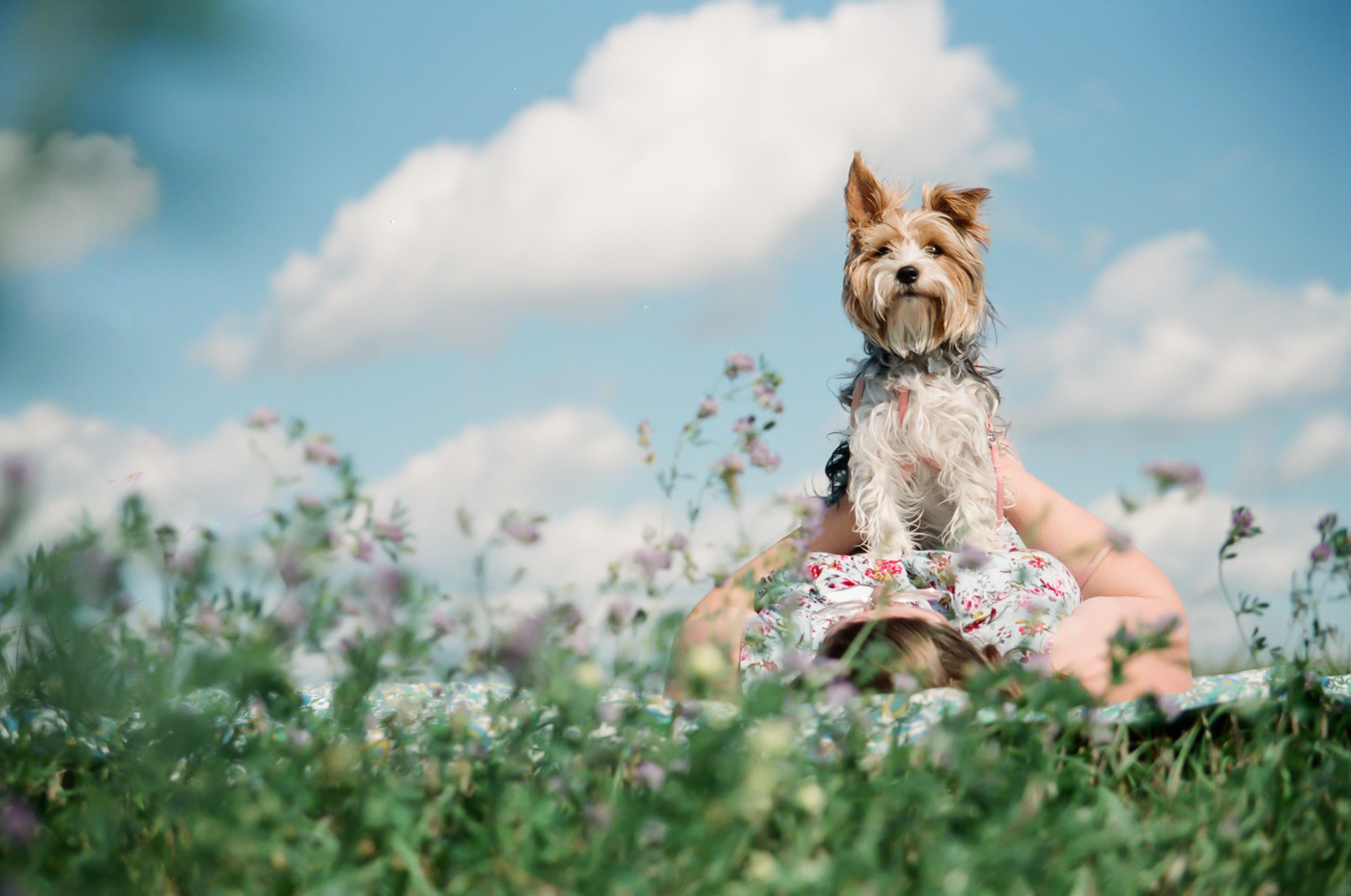 Senior-photography-west-fargo