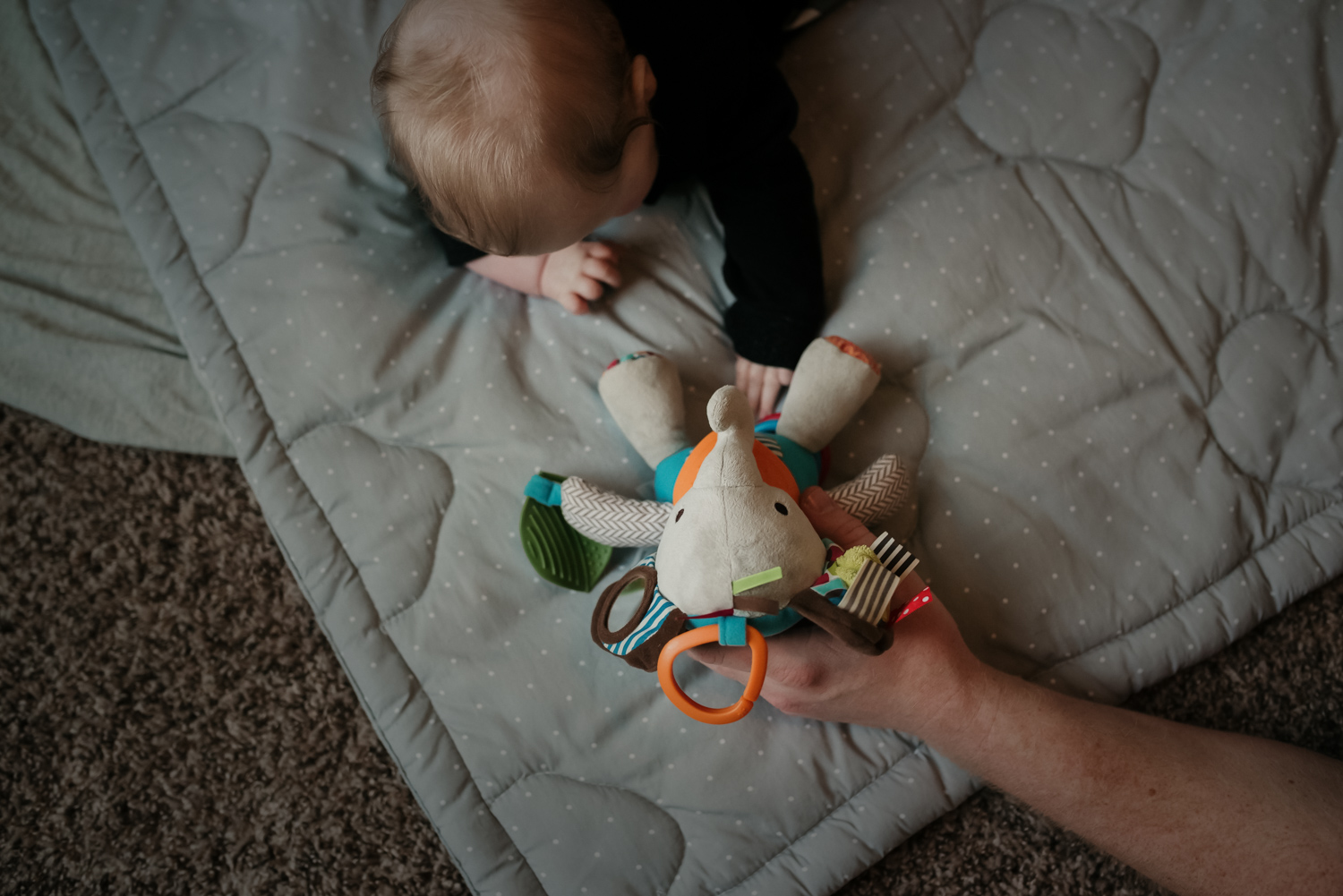 Baby laying on her tummy reaching for a favorite toy.