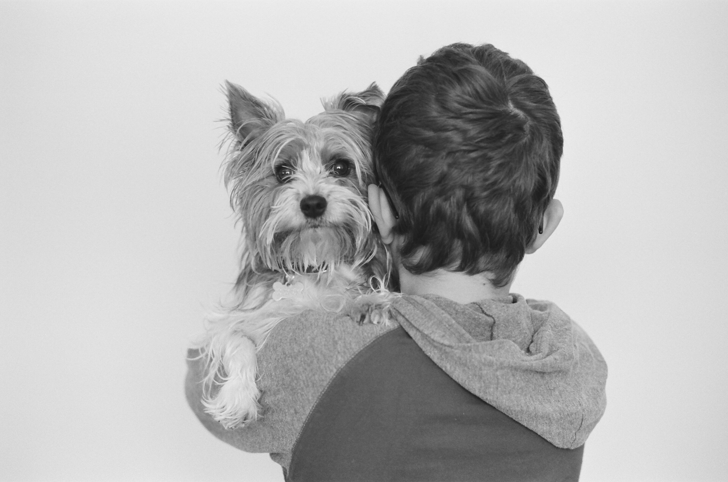 Boy holding his beloved yorkie dog over his shoulder during a portrait session in Fargo.