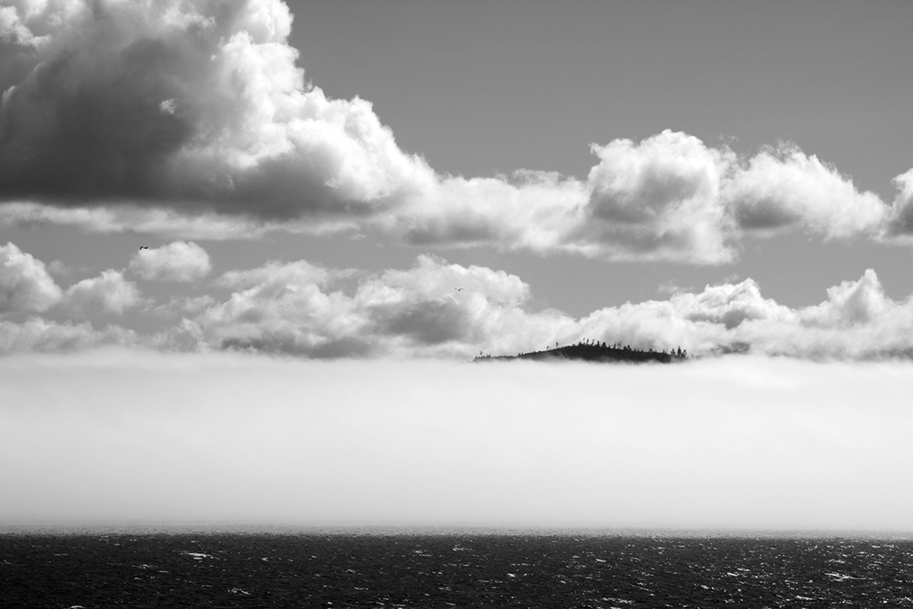 Sky_Island_2015.jpg