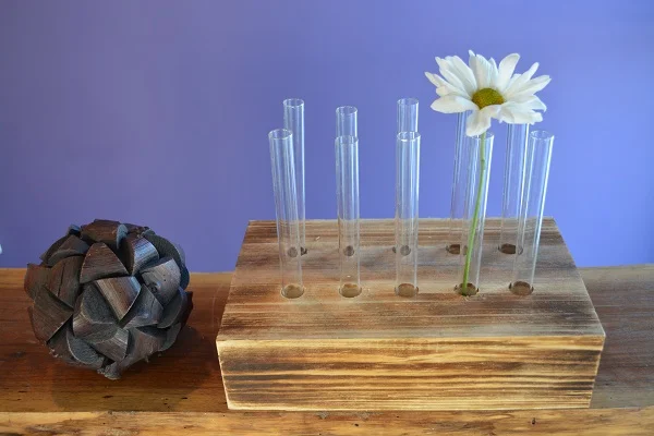 Test Tube Block Stand Includes (10) small test tubes $15