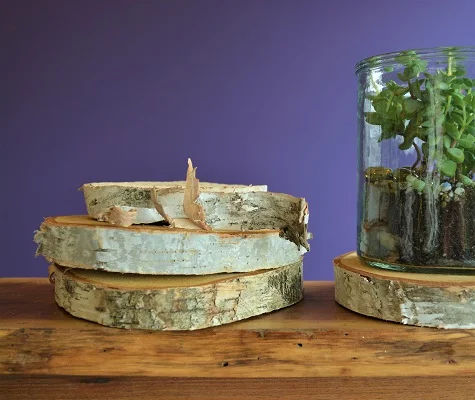 Birch Stands $1.50/each